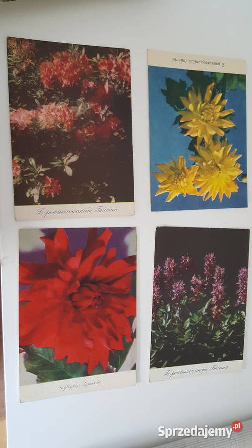 Stare pocztówki polskie i zagraniczne