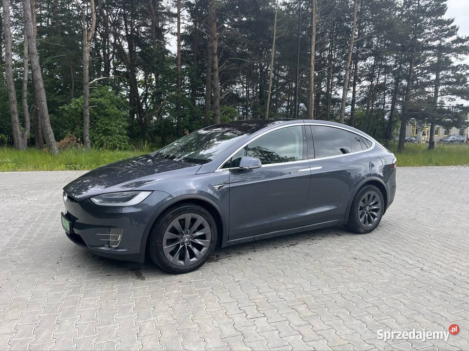 Long Range Raven EU Model X
