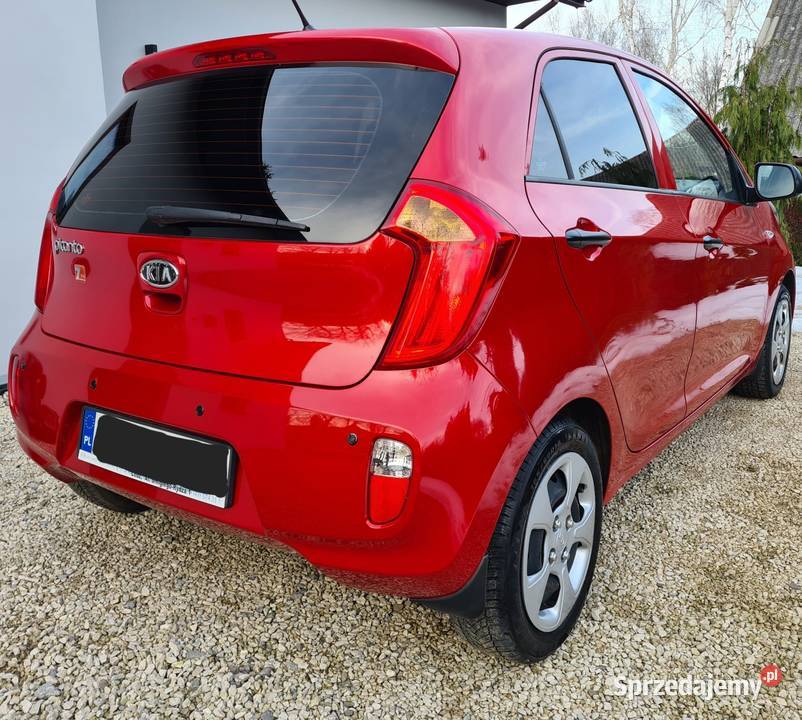 Kia Picanto Salon Polska 43 000 4/5 świętokrzyskie Nowa Słupia