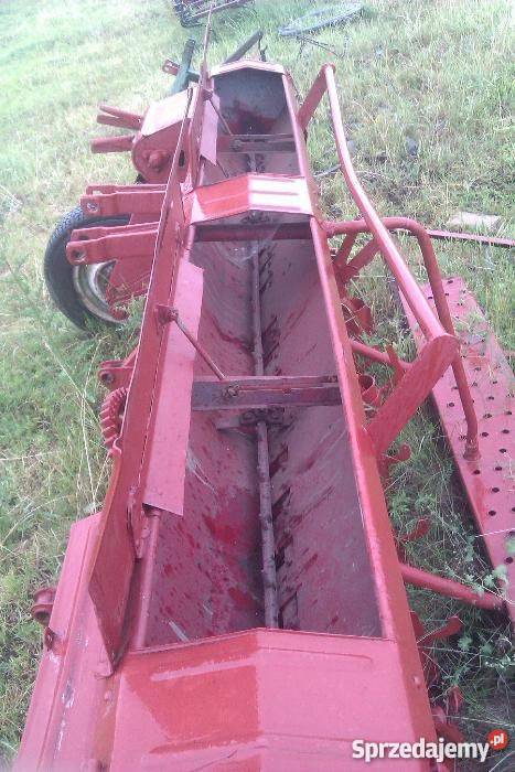 siewnik poznaniak starego