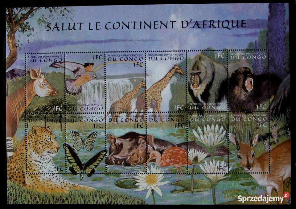 Kongo fauna Oborniki