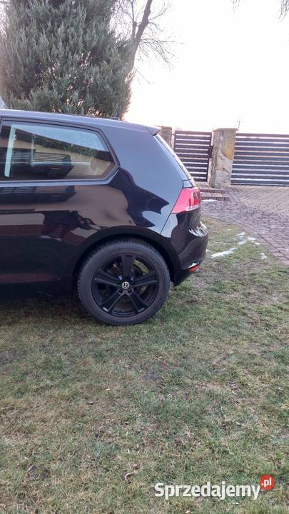 Volkswagen Golf VII 2016r Blue Motion Wieluń