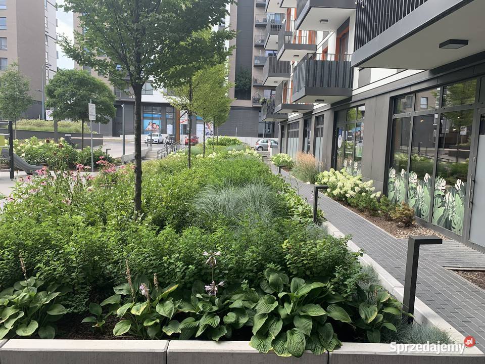 Dwa osobne nieprzechodnie pokoje balkon szybki Rok budowy 2023 Wynajem mazowieckie