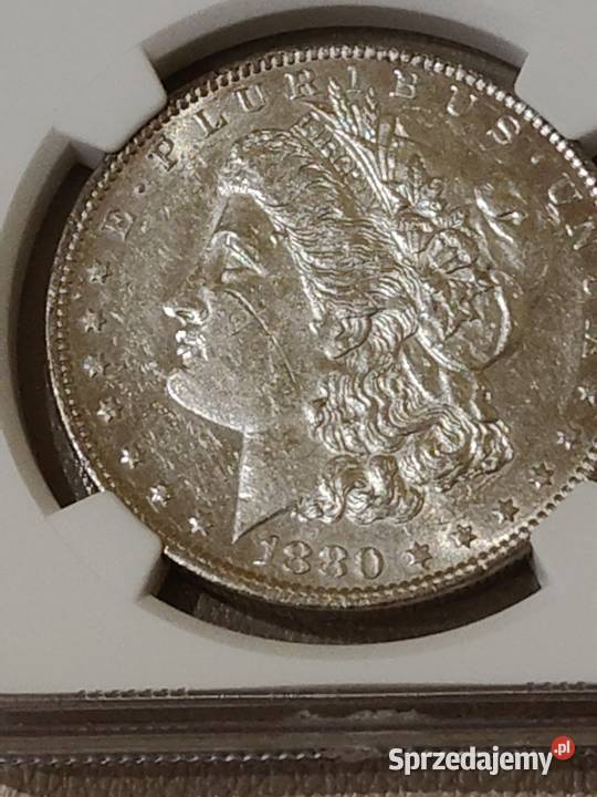 Moneta 1 Dolar Morgana 1880r Małe o mazowieckie Ostrów Mazowiecka