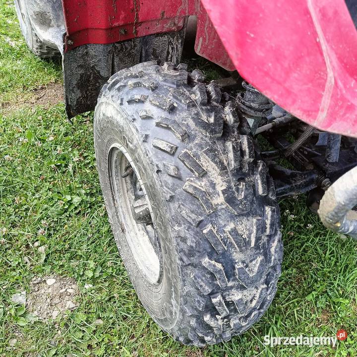 Yamaha bruin 250