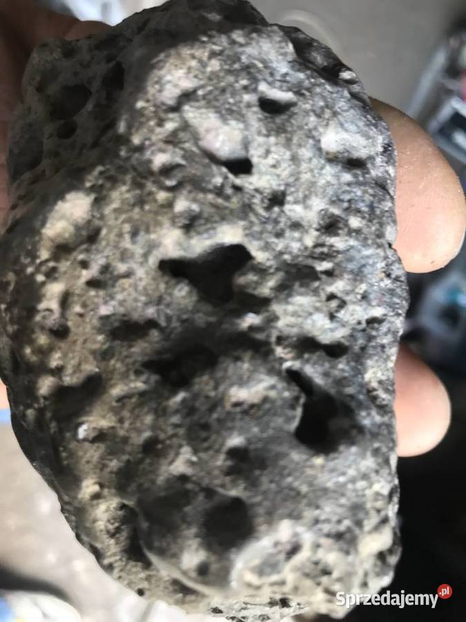 Meteoryt żelazno kamienny piękny okaz Gorzów Wielkopolski
