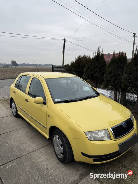 skoda Fabia 14 Stan Idealny Brak rdzy Rok produkcji 2002 Strzelce Opolskie