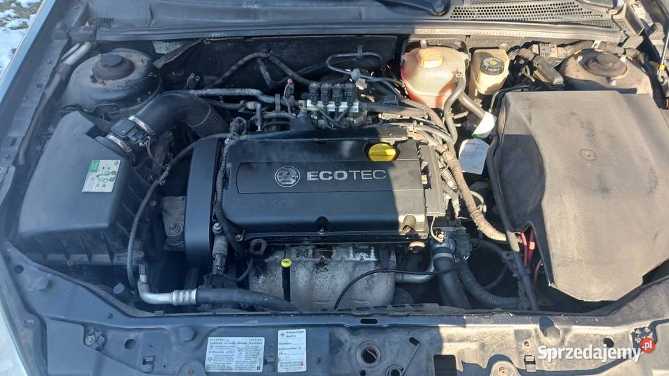 Opel signum 18 bg lift 140KM Chełm