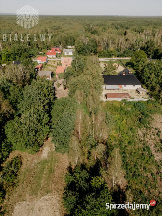 Działka 5200m2 Mucharzew