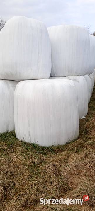 Sprzedam siano kiszonkę