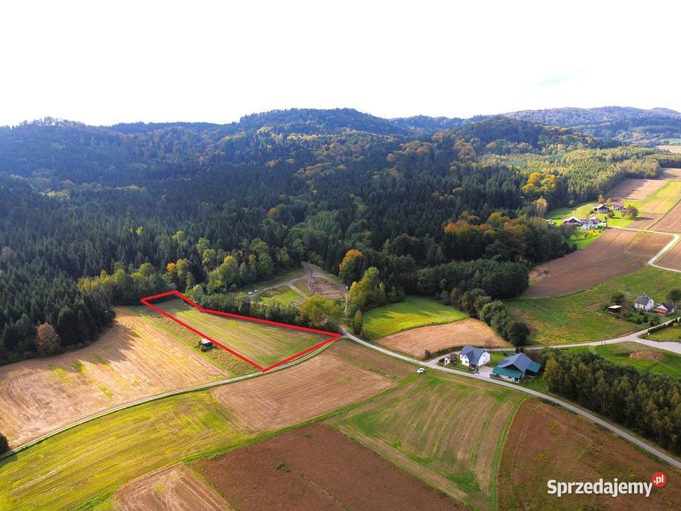 Działka lesie 59 ar podkarpackie Kozłówek