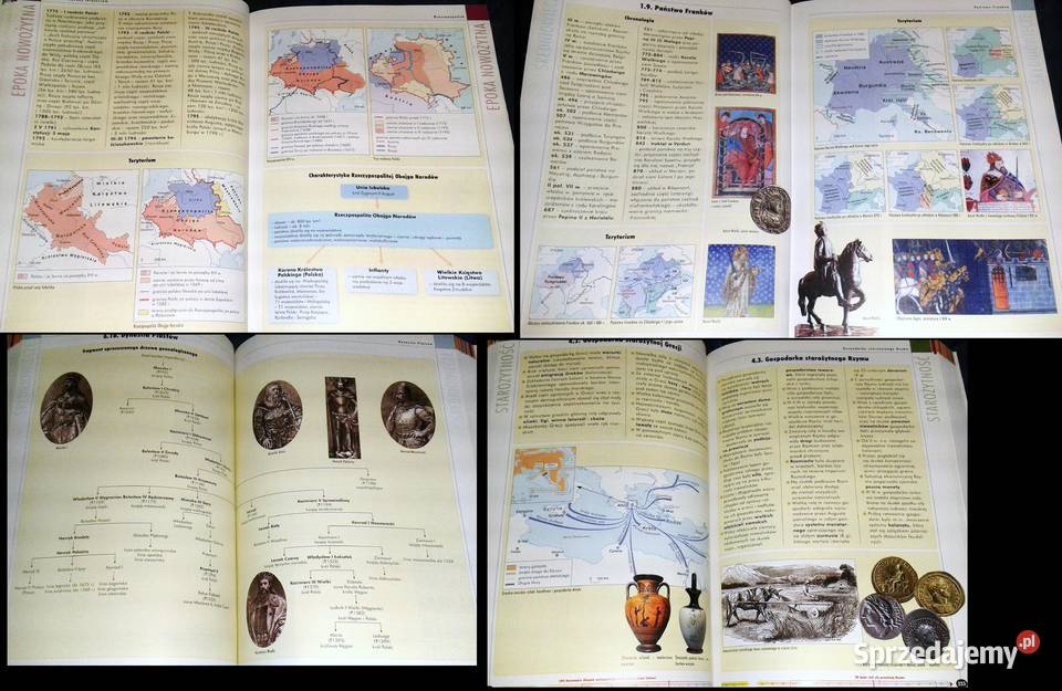 Historia Vademecum maturalne 2008 Renata Antosik Chełm