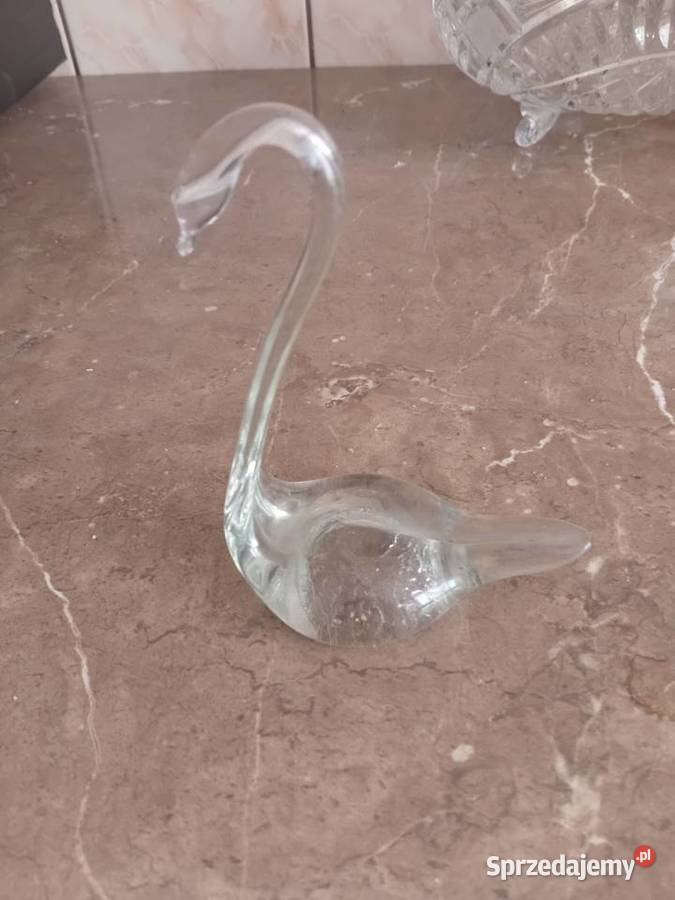 Szklany łabędz Biskupice