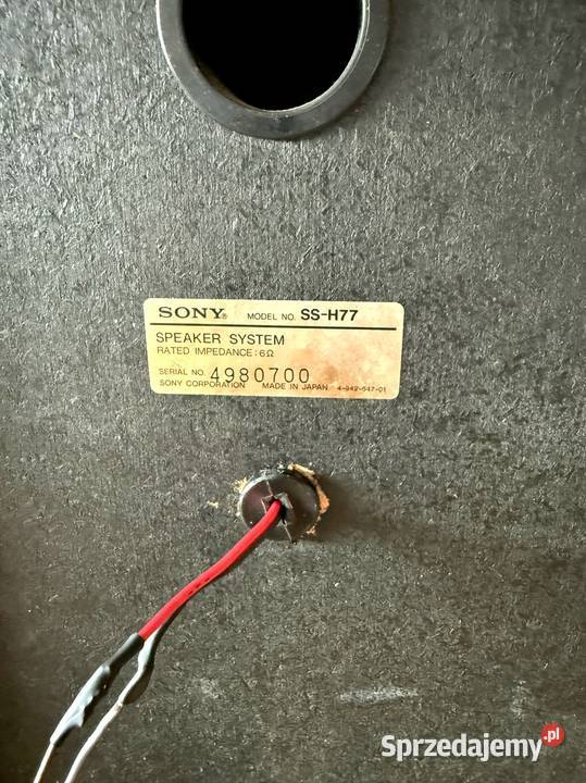 Głośnik kolumna SONY SSH77 Japończyk 6 Ohm Łódź