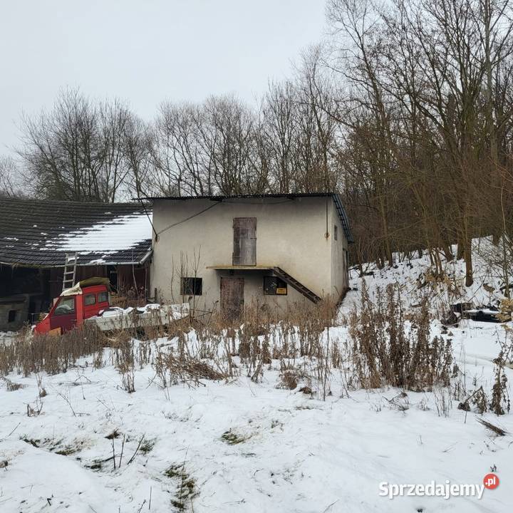 Sprzedam nieruchomość w miejscowości Prusy koł małopolskie