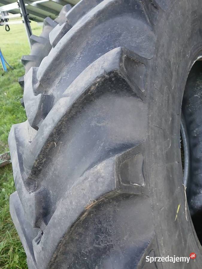 Oppna 184 34 Zamość