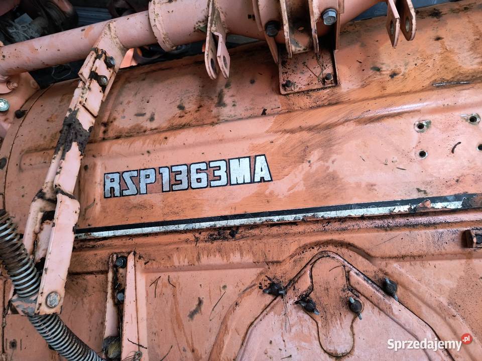 Glebogryzarki lubuskie Żary