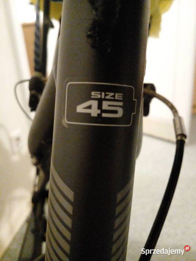 Rower Pegasus Piazza 28 rama 45 3x7