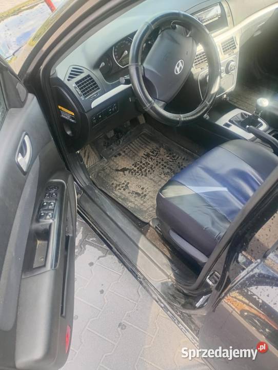 Hyundai Sonata V Las Dębowy