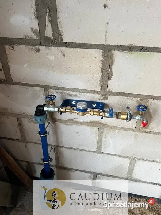 Dom jednorodzinny z dużą działką w Czeczewie Czeczewo