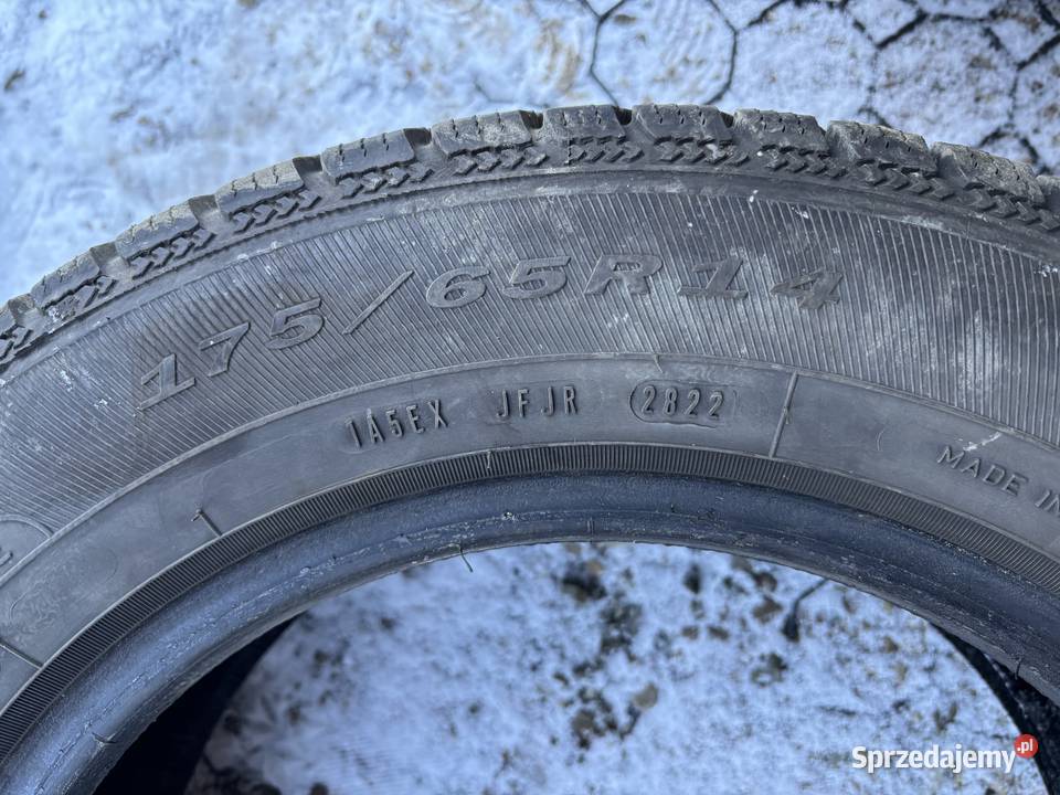 Opony zimowe Dębica Frigo 17565R14 65 Wróblik Szlachecki
