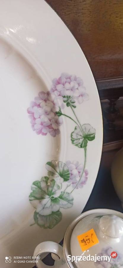Dzbanek C T Altwasser Germany Hortensje Gdańsk sprzedam