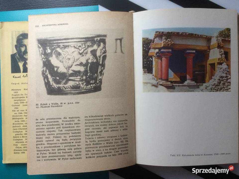 3546 Historia Sztuki W Zarysie Szczecin