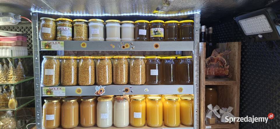 Miód wielokwiat z mniszkiem rzepakowy akacjowy podkarpackie Sędziszów Małopolski