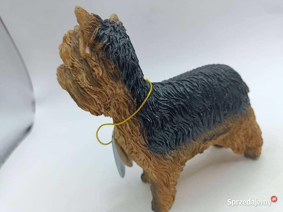 Figurka pies Yorkshire LEONARDO Dog studies Pozostałe Zamość