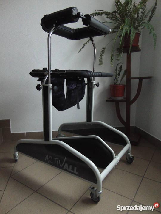 Pionizator Dynamiczny ACTIVALL świętokrzyskie Kielce sprzedam