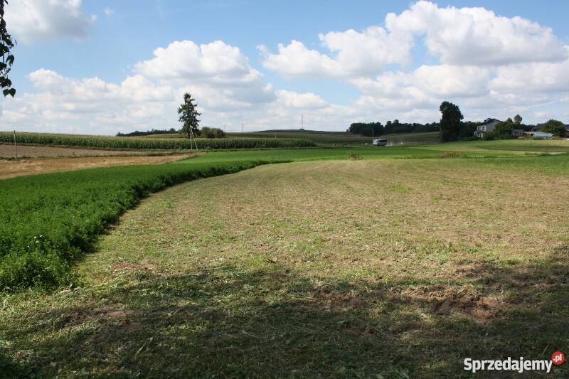 Dom na sprzedaż Na Jurze krakowsko 0zł/m2 śląskie Biała