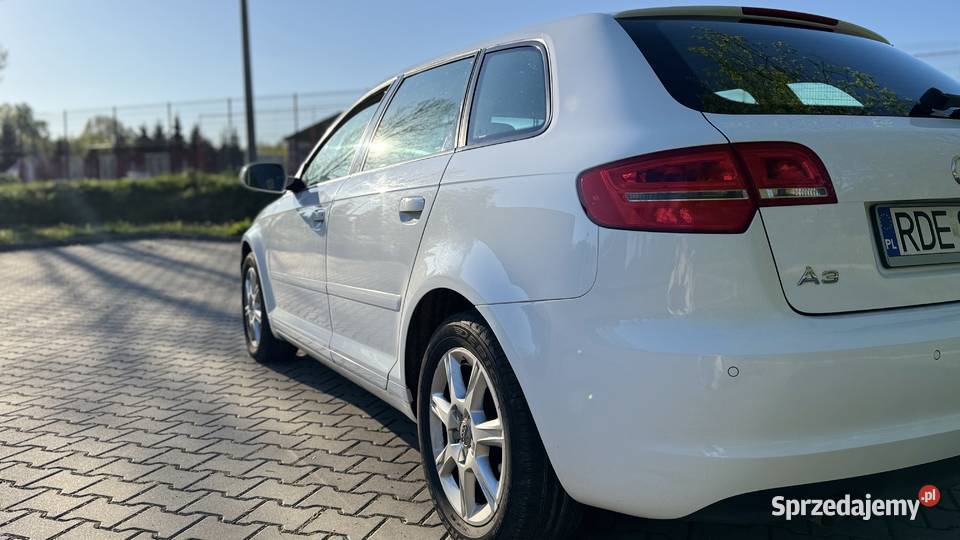 Audi A3 8P 2010 16 TDI 262 000 105KM Pilzno