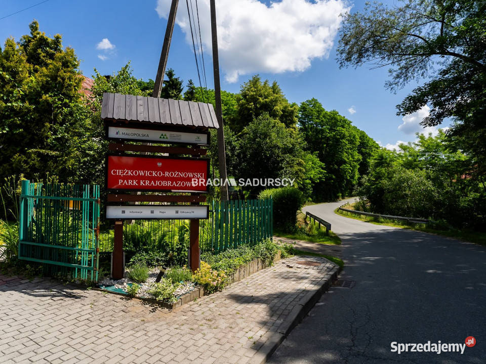 Działka 12200m2 Rzepiennik Strzyżewski małopolskie