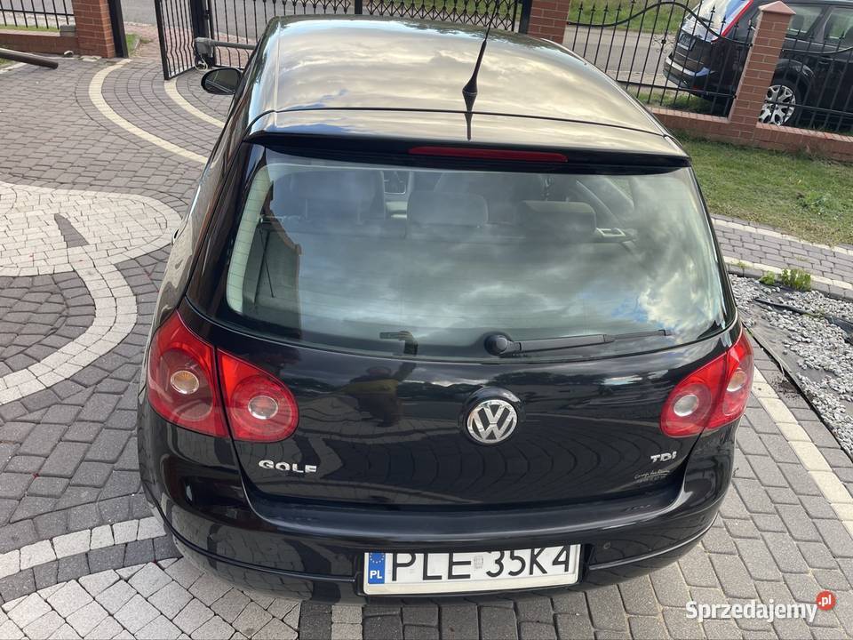 Volkswagen Golf V z 2007 roku z silnikiem 19 TDI
