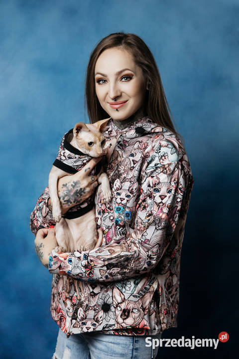 Magic Pet Fashion bluza damska kot sfinks M Opole sprzedam