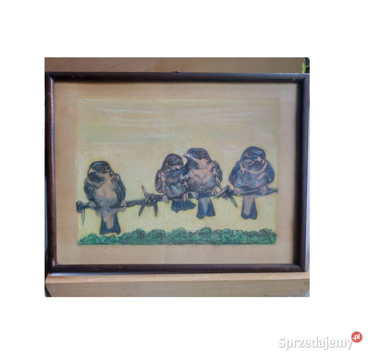 rysunek grafika obraz akwarela ramka ptaszki
