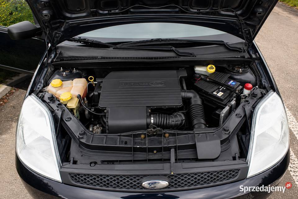 Ford fiesta mkvi 13 8v duratec Słupsk