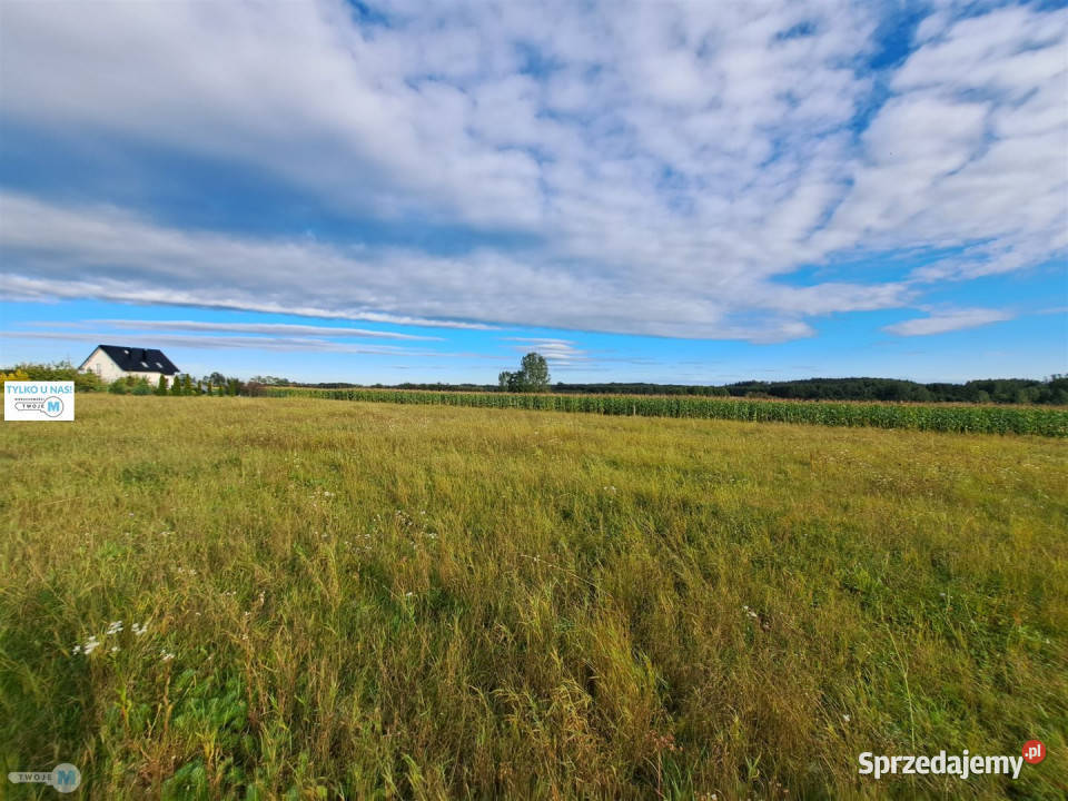 Grunt 6600m2 Pierzchnica asfalt świętokrzyskie