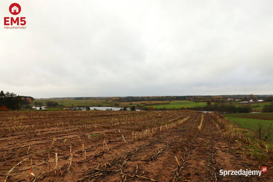 Działka 12000m2 Żegary