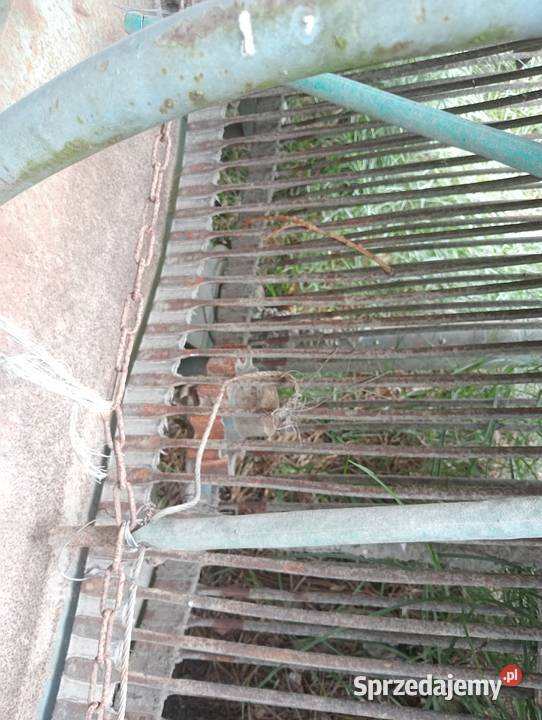 Kombajn do ziemniaków karlik nieuszkodzony Czyżew