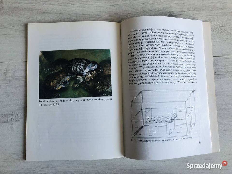Książka Żółw ozdobny w naszym domu Beata Kisiel miękka
