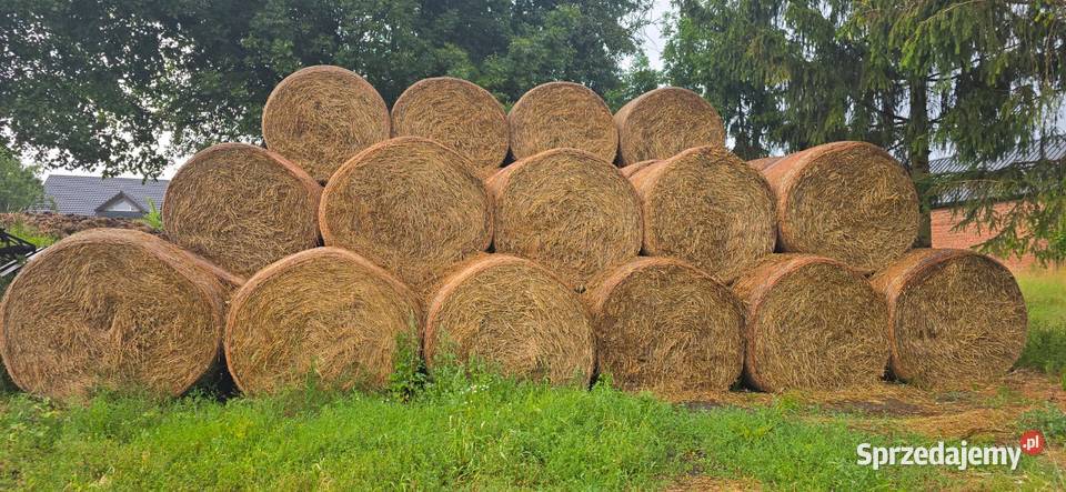 Słoma żytnia Baloty Chwalim