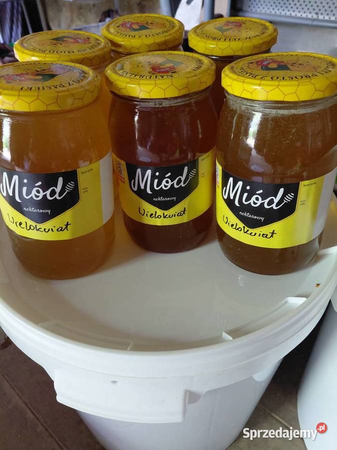 Sprzedam miód wielokwiatowy lubelskie Krzywe