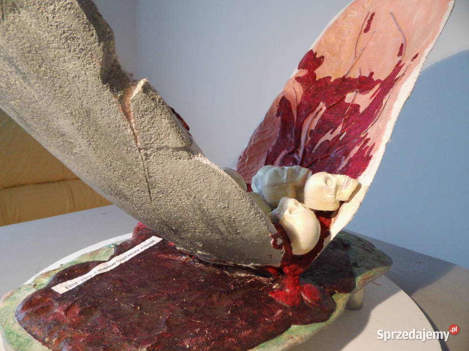 Rozpad europejskiej demokracji FILM