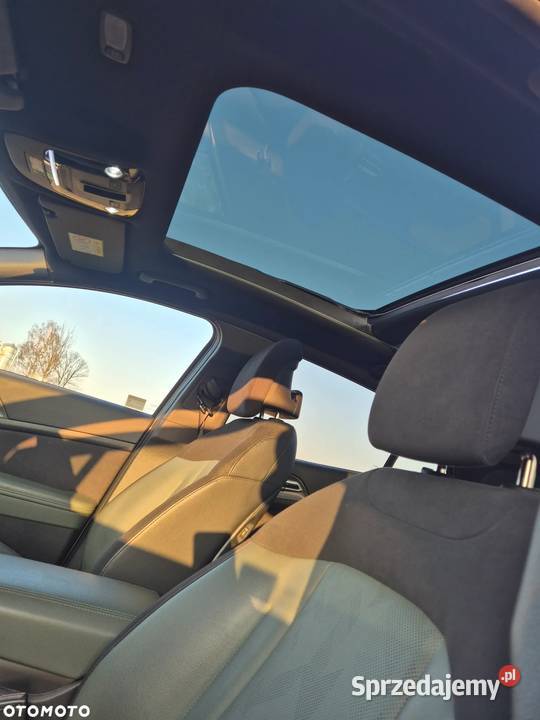 Kia Sportage 16 TGDI MHEV Anniversary 4WD DCT Kłodawa