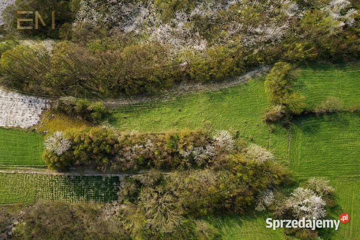 Działka Niepla 4215m2