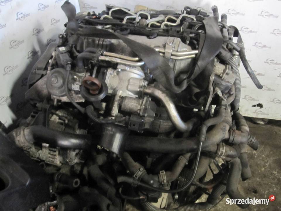 AUDI A6 A4 20 TDI CAG CAGB 136 159 09r silnik Części samochodowe Kielce