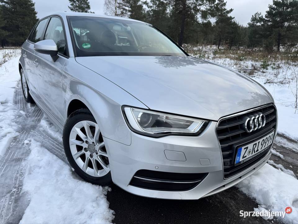Audi a3 16TDI 2014r Serwis do końca Navi Xenon Hatchback A3 Kroczyce sprzedam