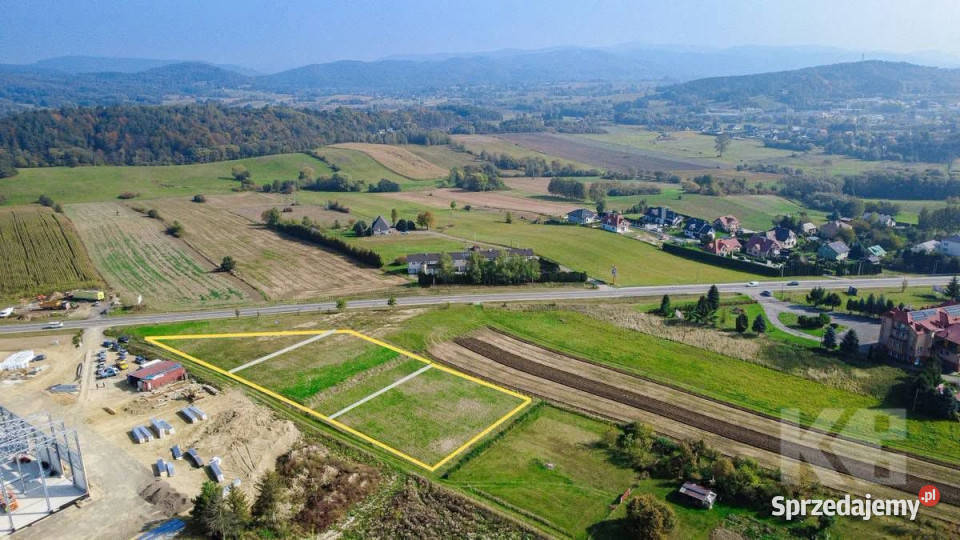 Grunt 3000m2 Czerteż