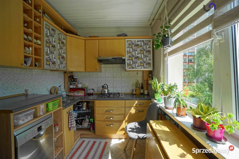 Mieszkanie 487m2 2 pokojowe Katowice